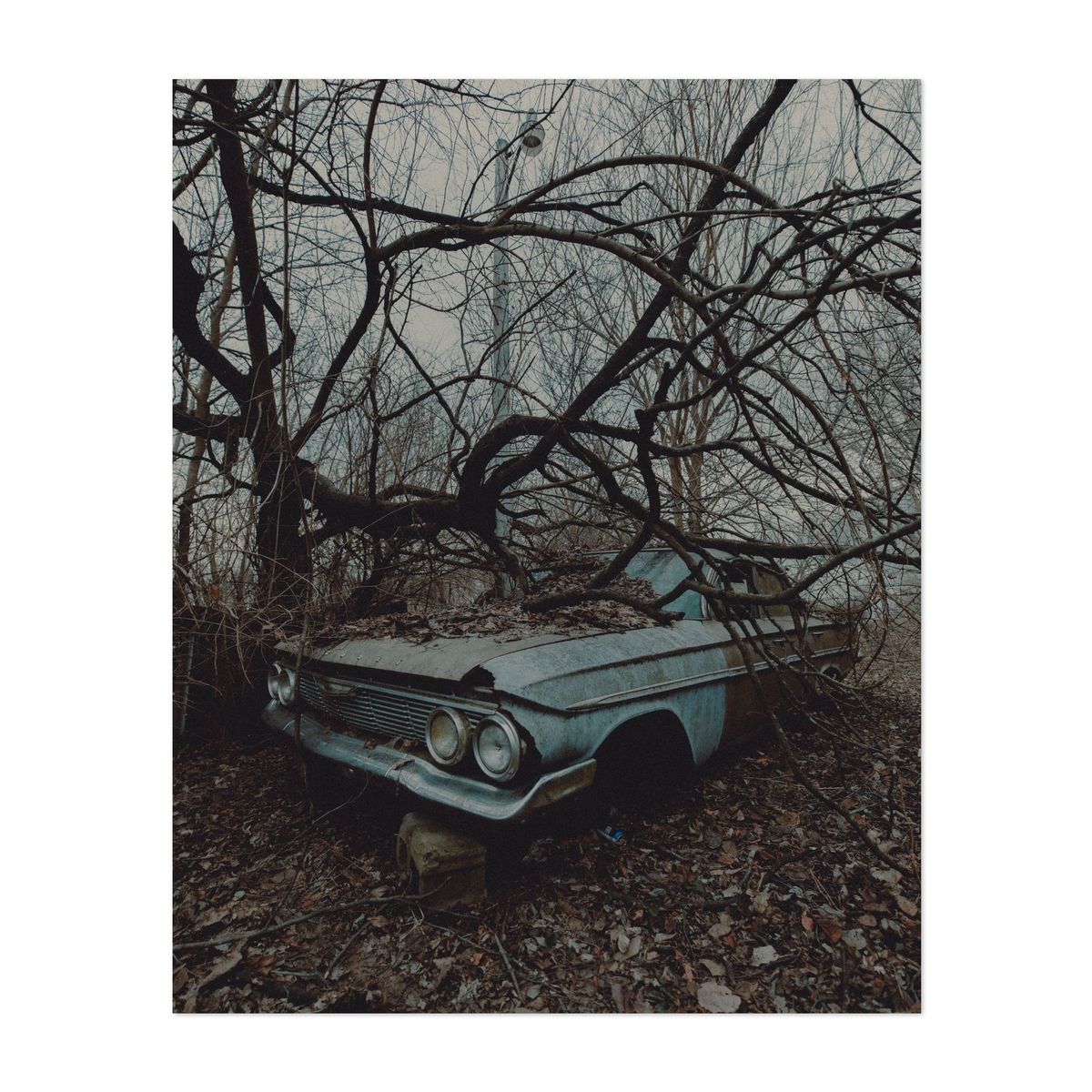 Abandoned Impala 02 – image 1 of 2