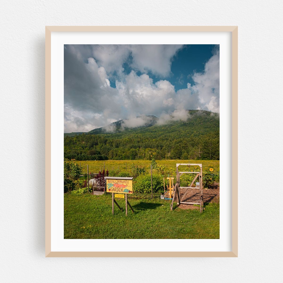 Keene Community Garden – image 1 of 12