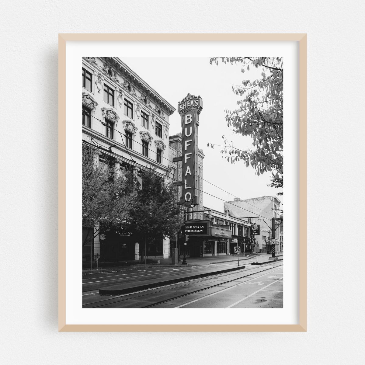 Shea's Buffalo B&W – image 1 of 12