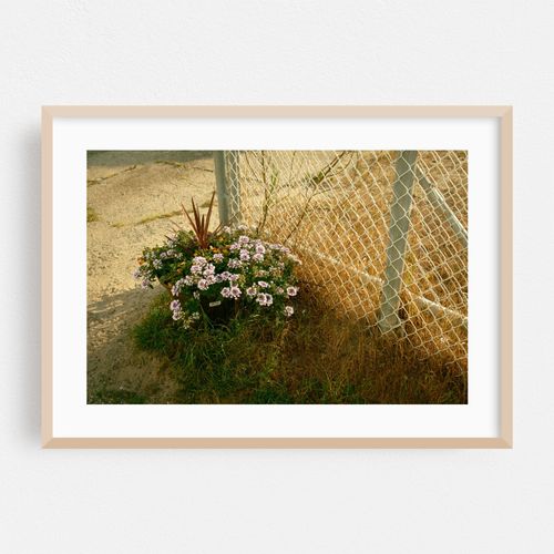 Salisbury Beach Floral