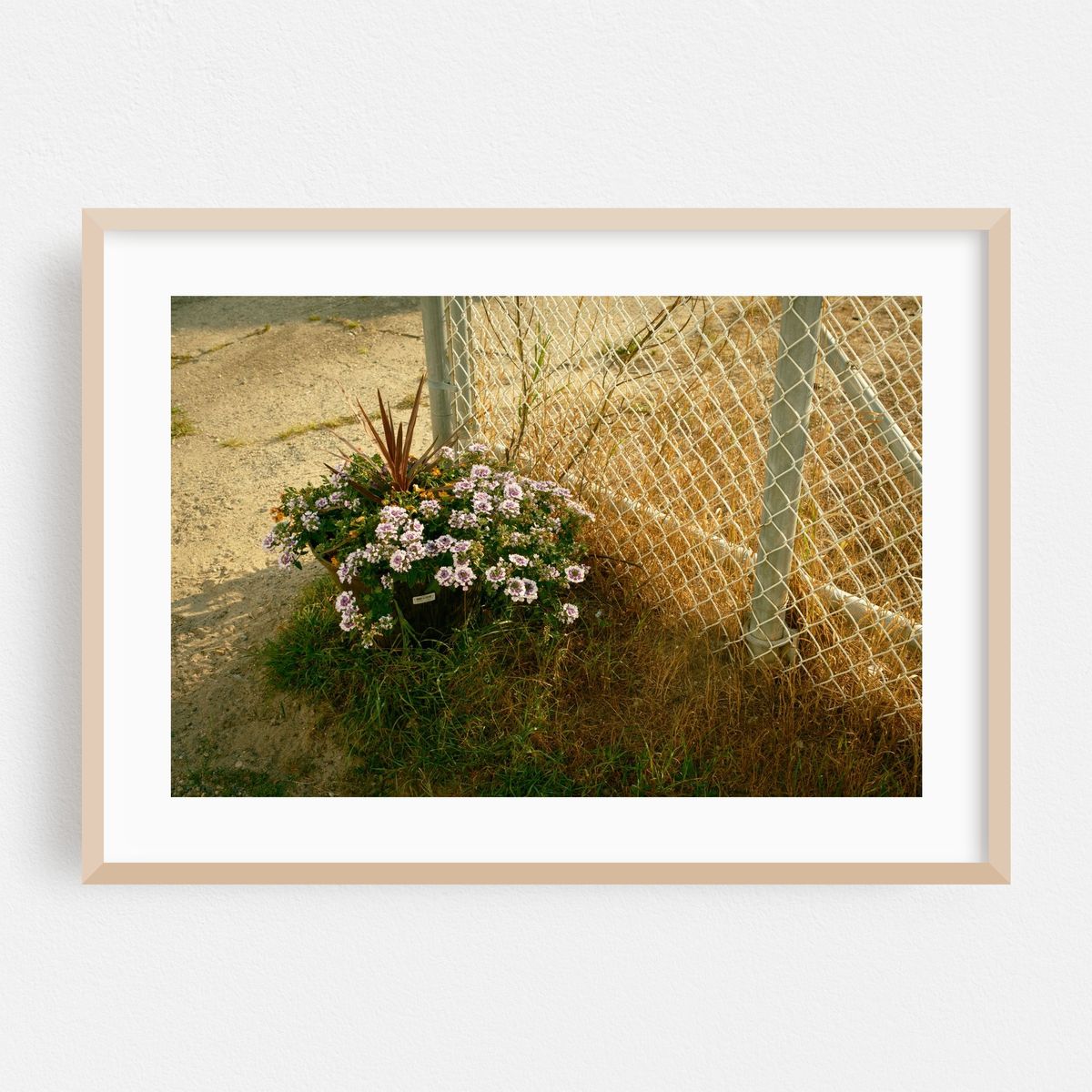 Salisbury Beach Floral – image 1 of 6