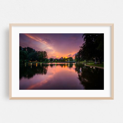 Public Garden Lake 02