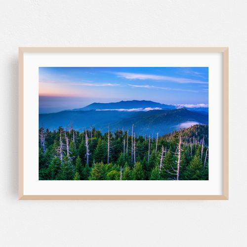 In The Smokies 02