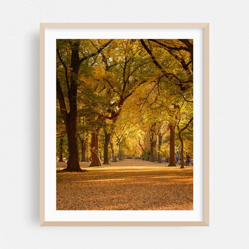 Autumn in Central Park, New York 02