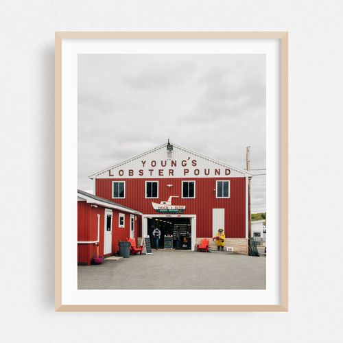 Young's Lobster Pound, Belfast