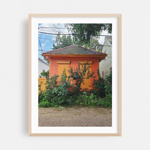 The Orange Cottage & Cat