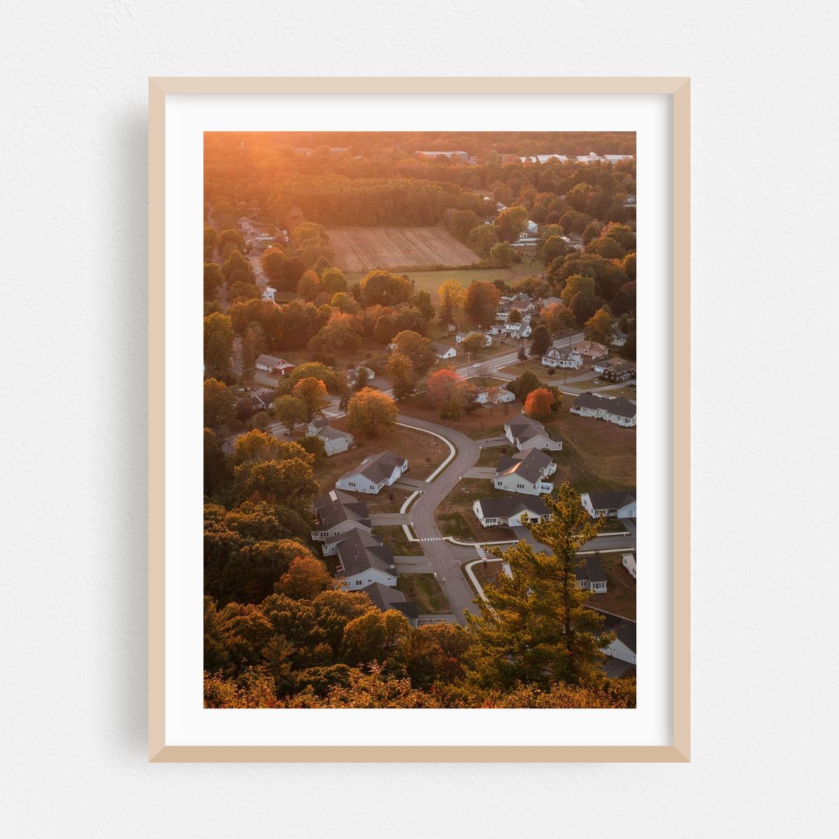 Suburbia from Mount Sugarloaf – image 1 of 3