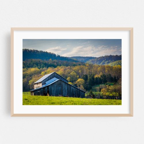 The Barn