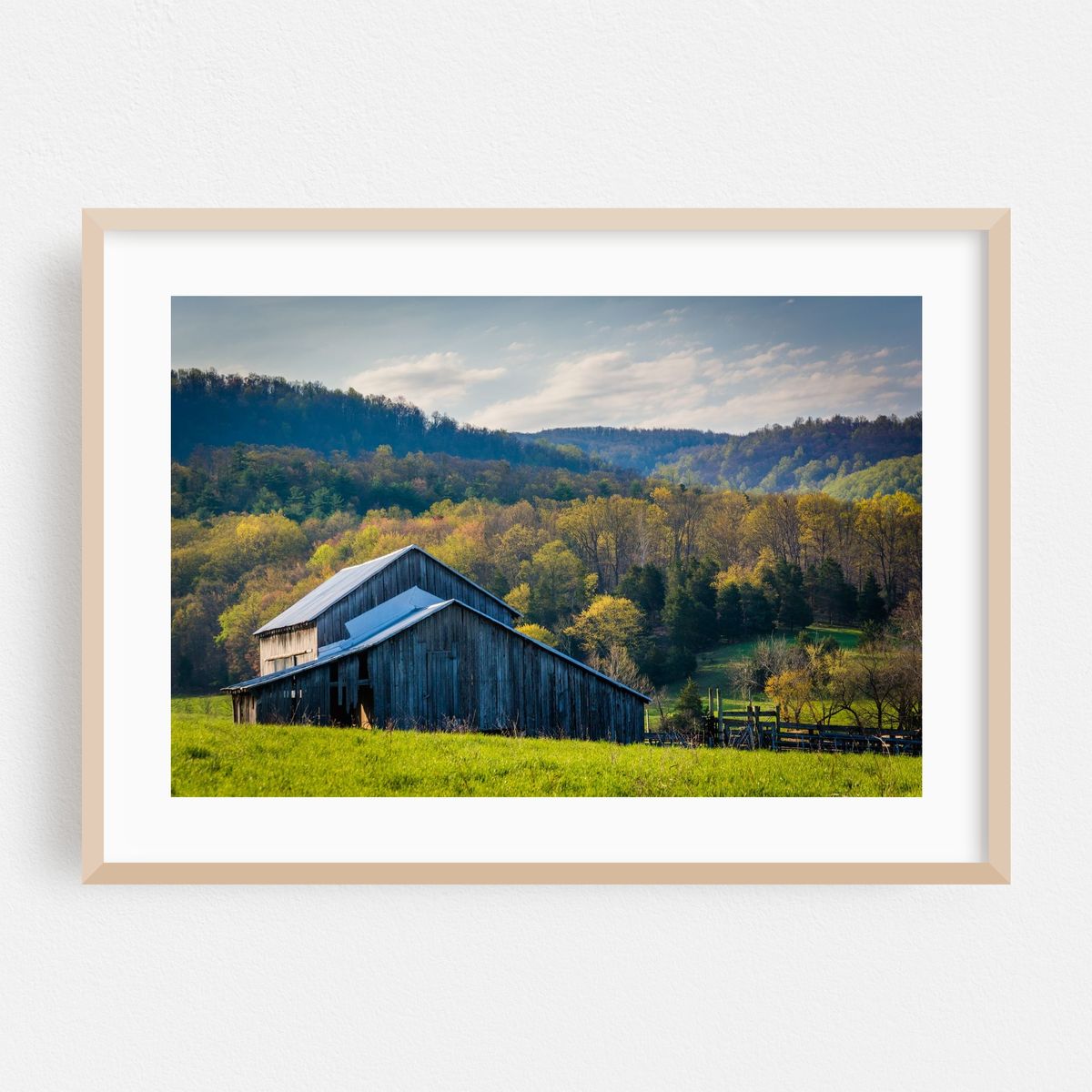 The Barn – image 1 of 6