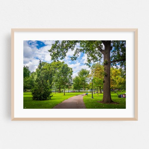 Public Garden Walkway 02