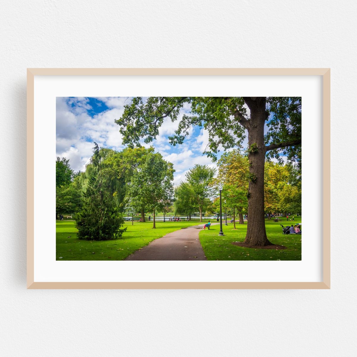 Public Garden Walkway 02 – image 1 of 6