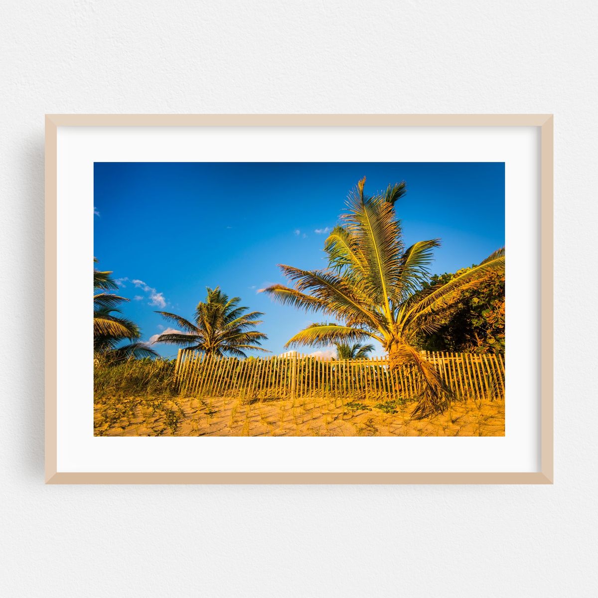 Palm trees at Coral Cove – image 1 of 6