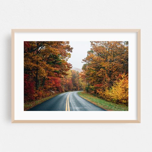 Fall Blue Ridge No. 2