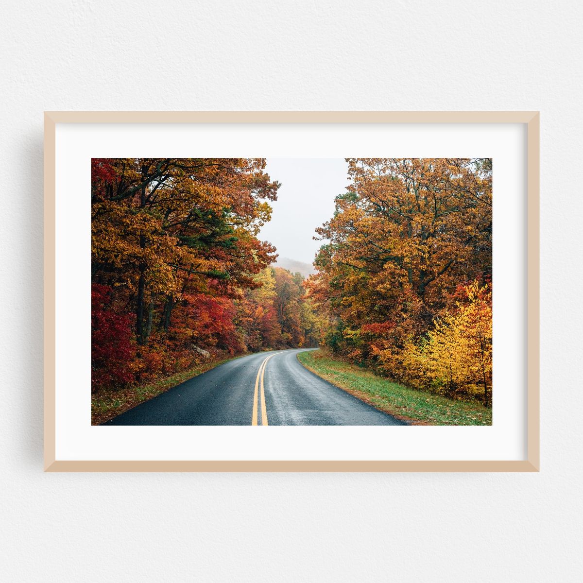 Fall Blue Ridge No. 2 – image 1 of 6