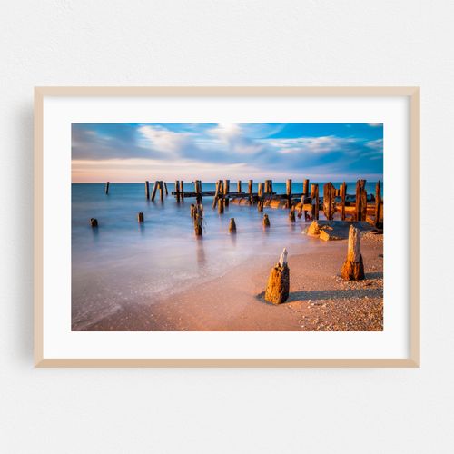 Delaware Bay Pilings