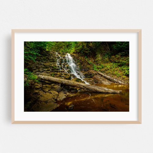 Creek Falls