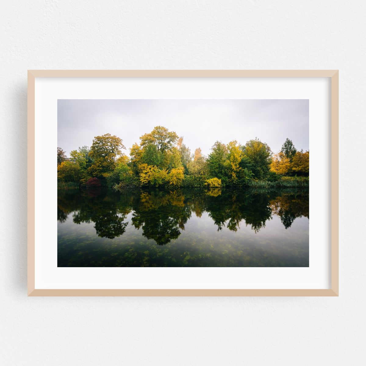 Lake at Østre Anlæg 02 – image 1 of 6