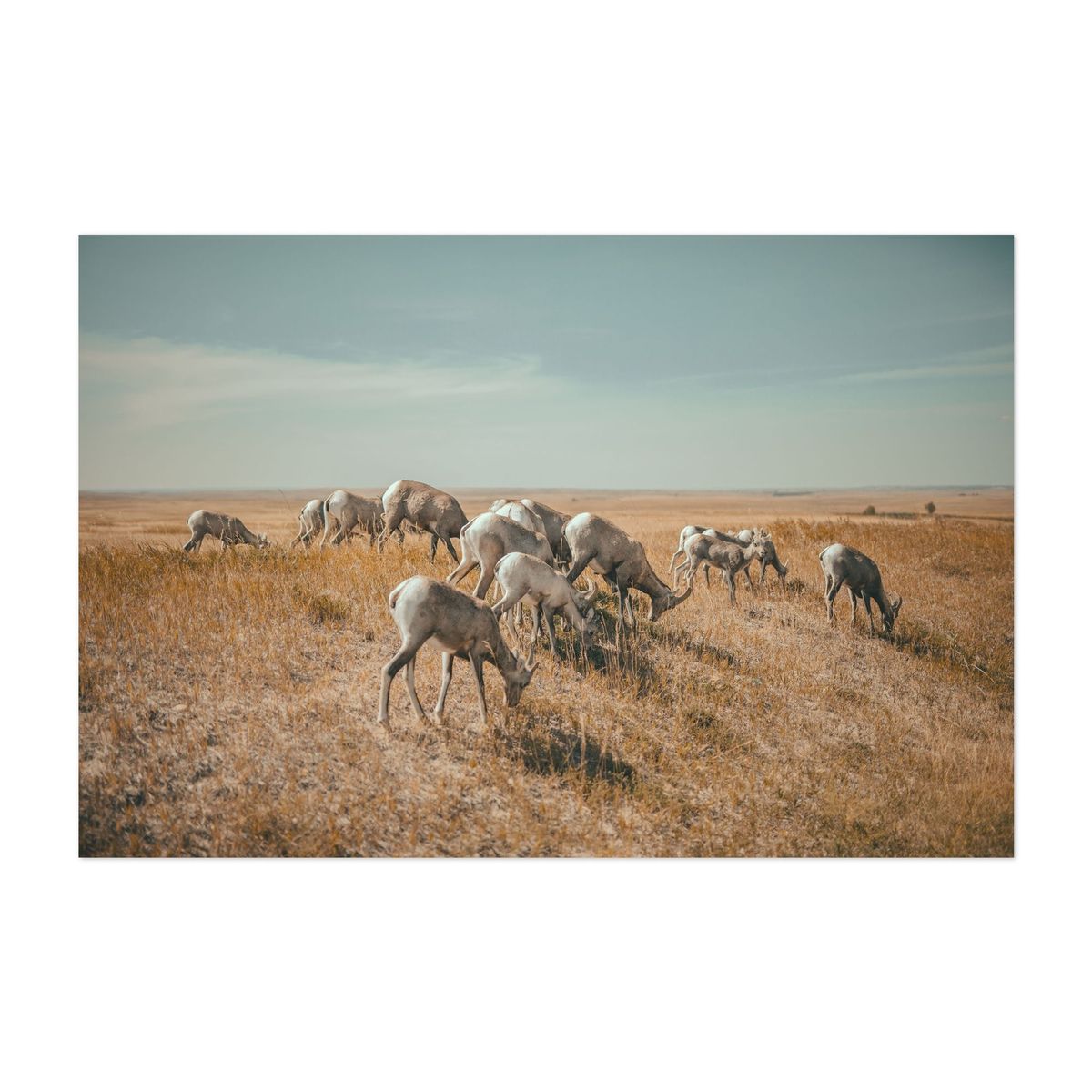 Badlands 02 – image 1 of 2