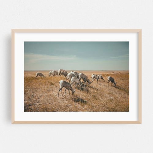Badlands 02