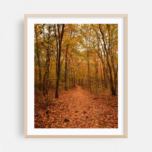 Autumn in Farmingville 01