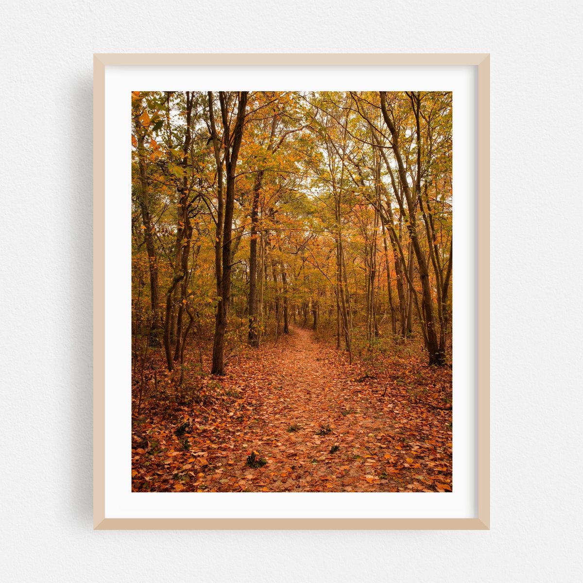Autumn in Farmingville 01 – image 1 of 12