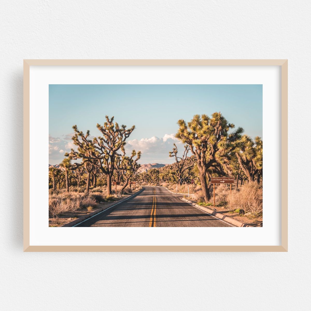 Joshua Tree Road 05 – image 1 of 6