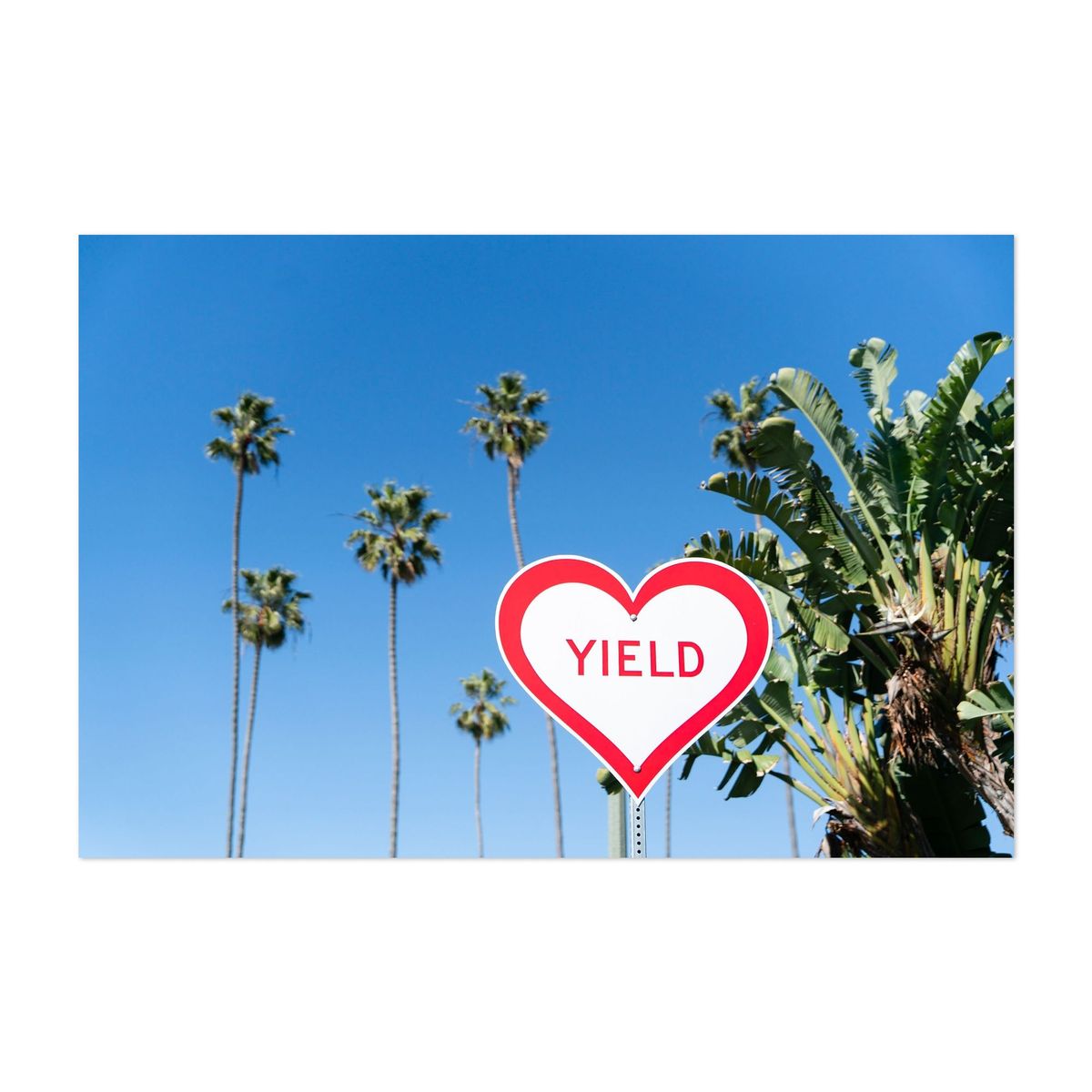 Yield the Laguna Way – image 1 of 2