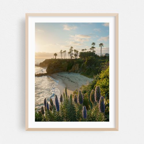 Treasure Island Park, Laguna Beach 03