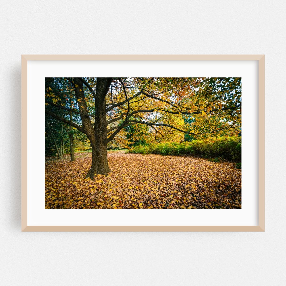 Autumn at Cylburn Arboretum – image 1 of 6