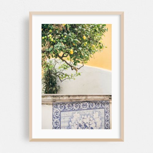 Lemon Tree in Portugal