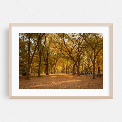 Autumn in Central Park, New York 03