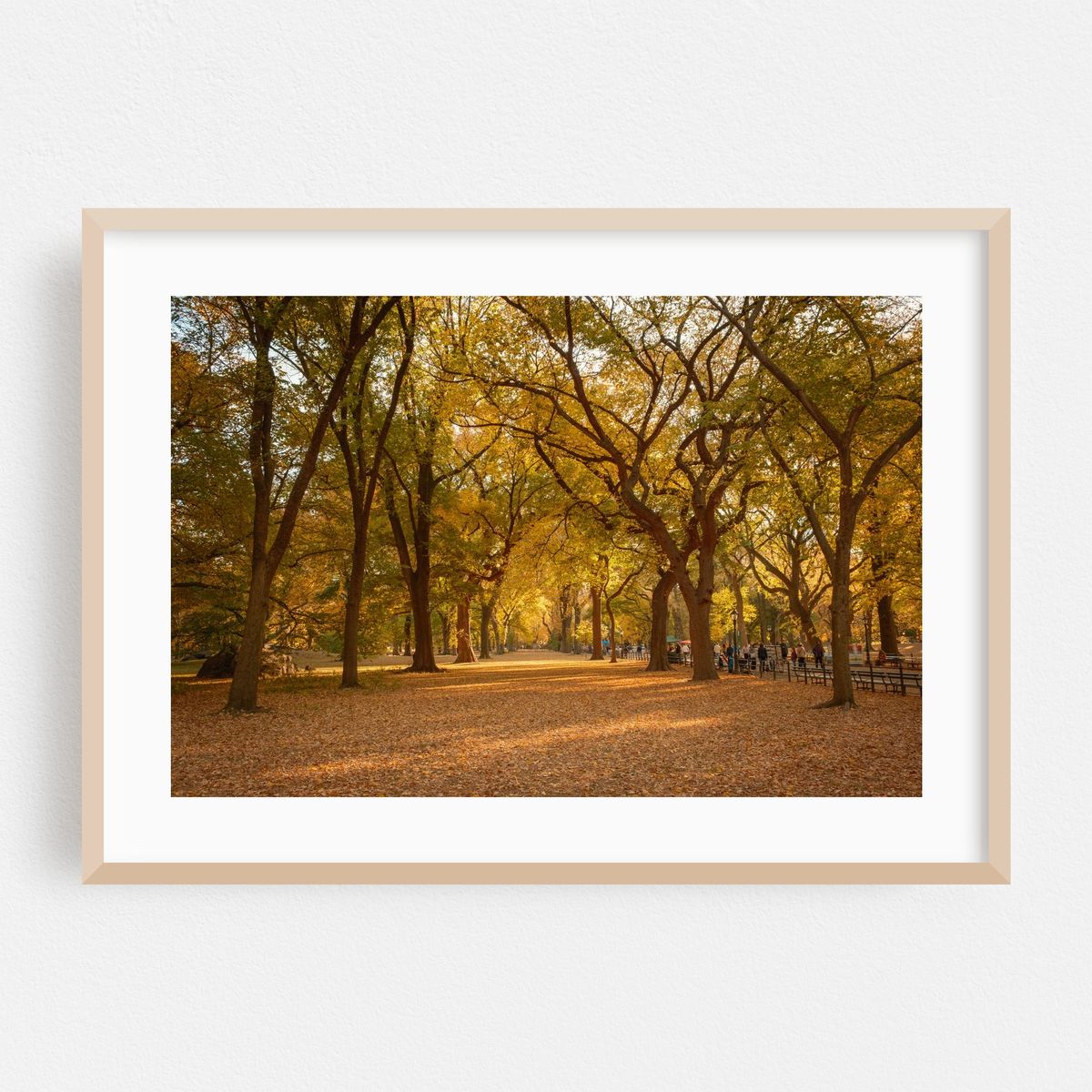 Autumn in Central Park, New York 03 – image 1 of 6