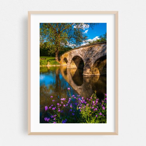 Burnside Bridge 01
