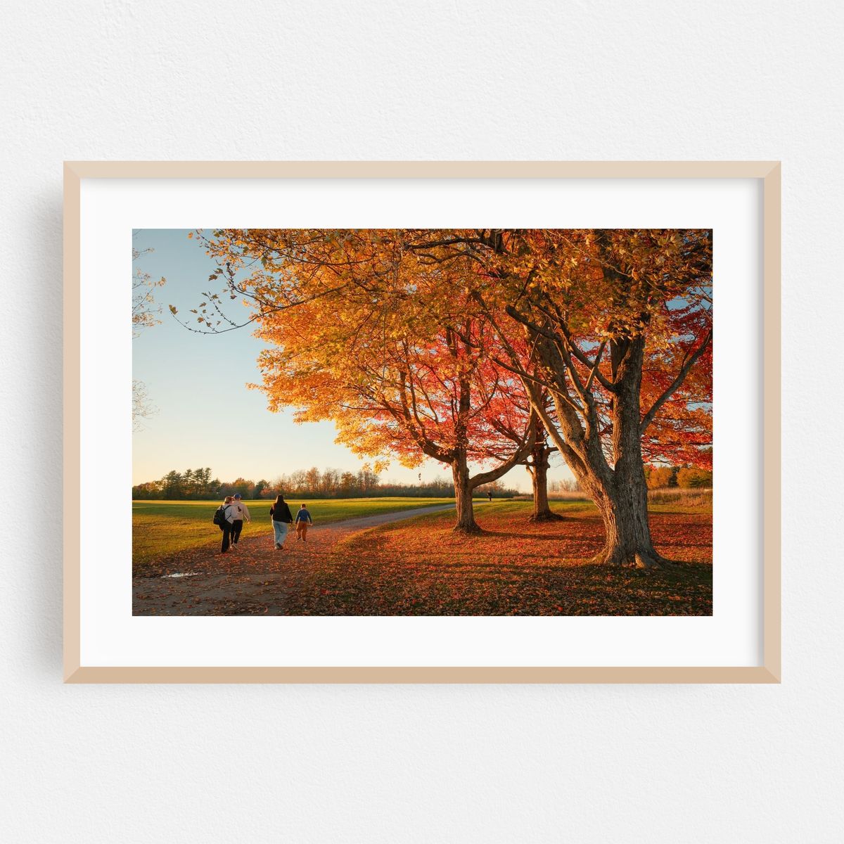 Walking at Knox Farm, East Aurora – image 1 of 6