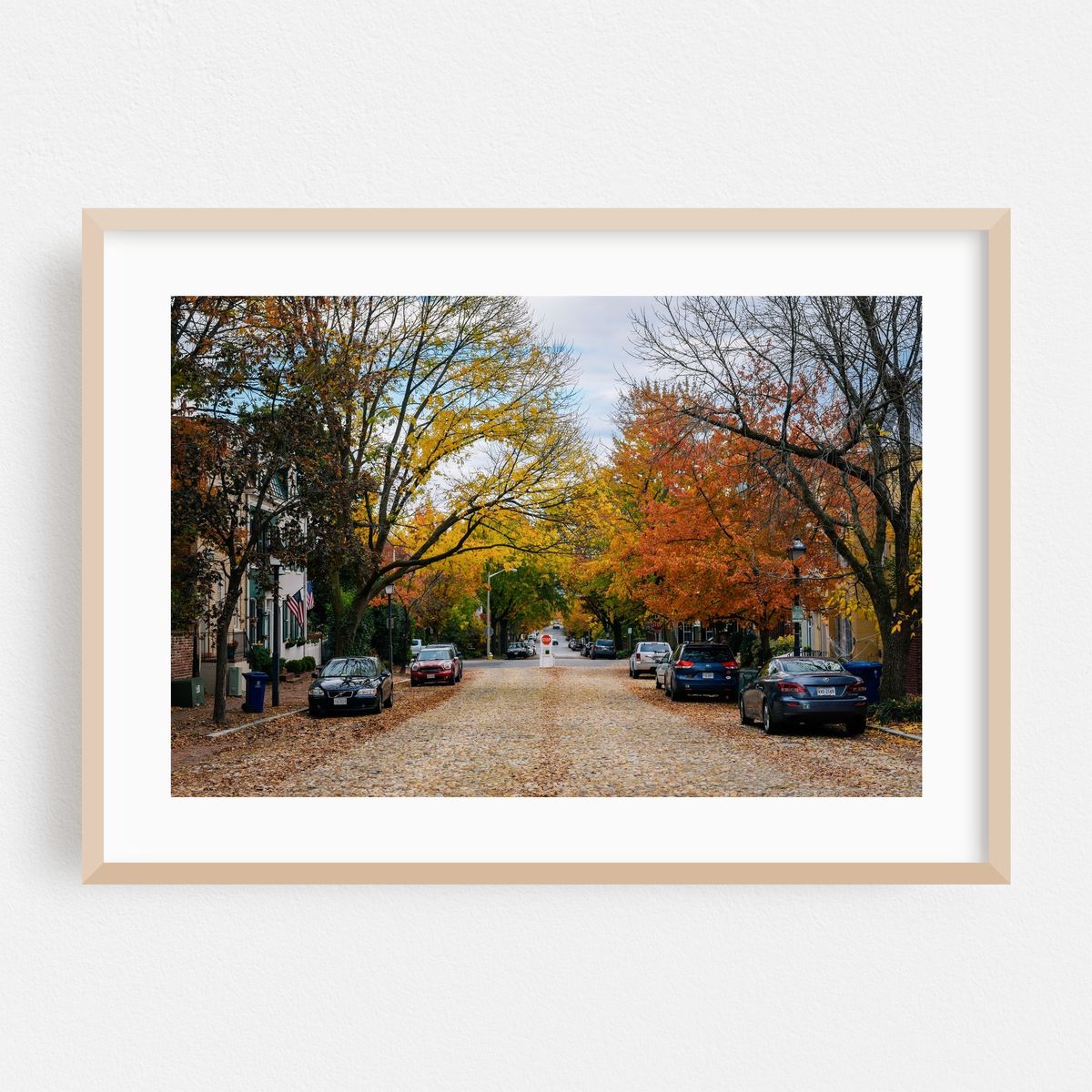 Cobblestone, Old Alexandria – image 1 of 6