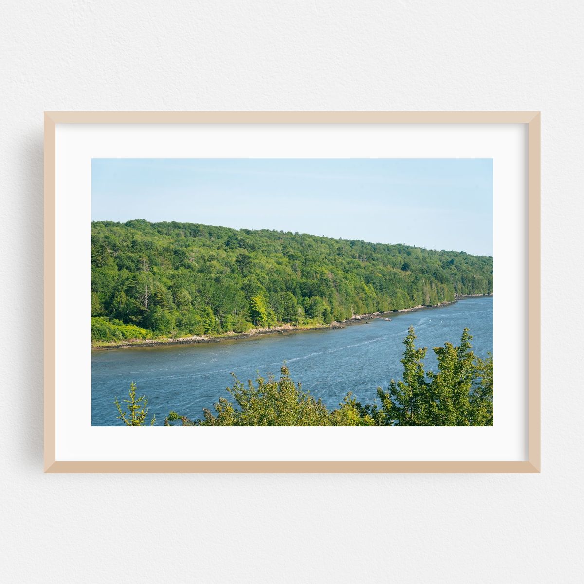 Penobscot River – image 1 of 6