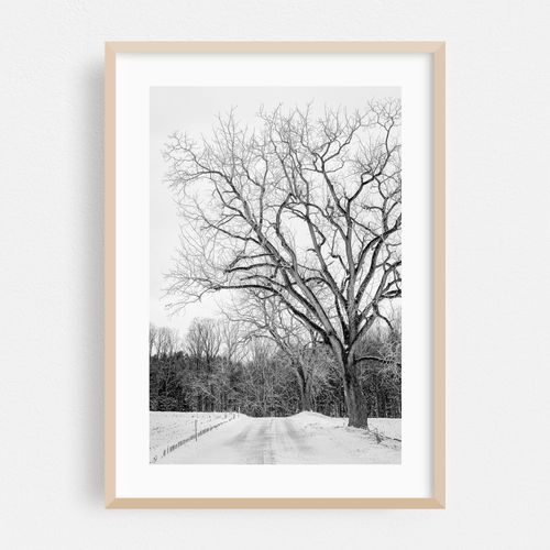 Snowy Road 05 B&W