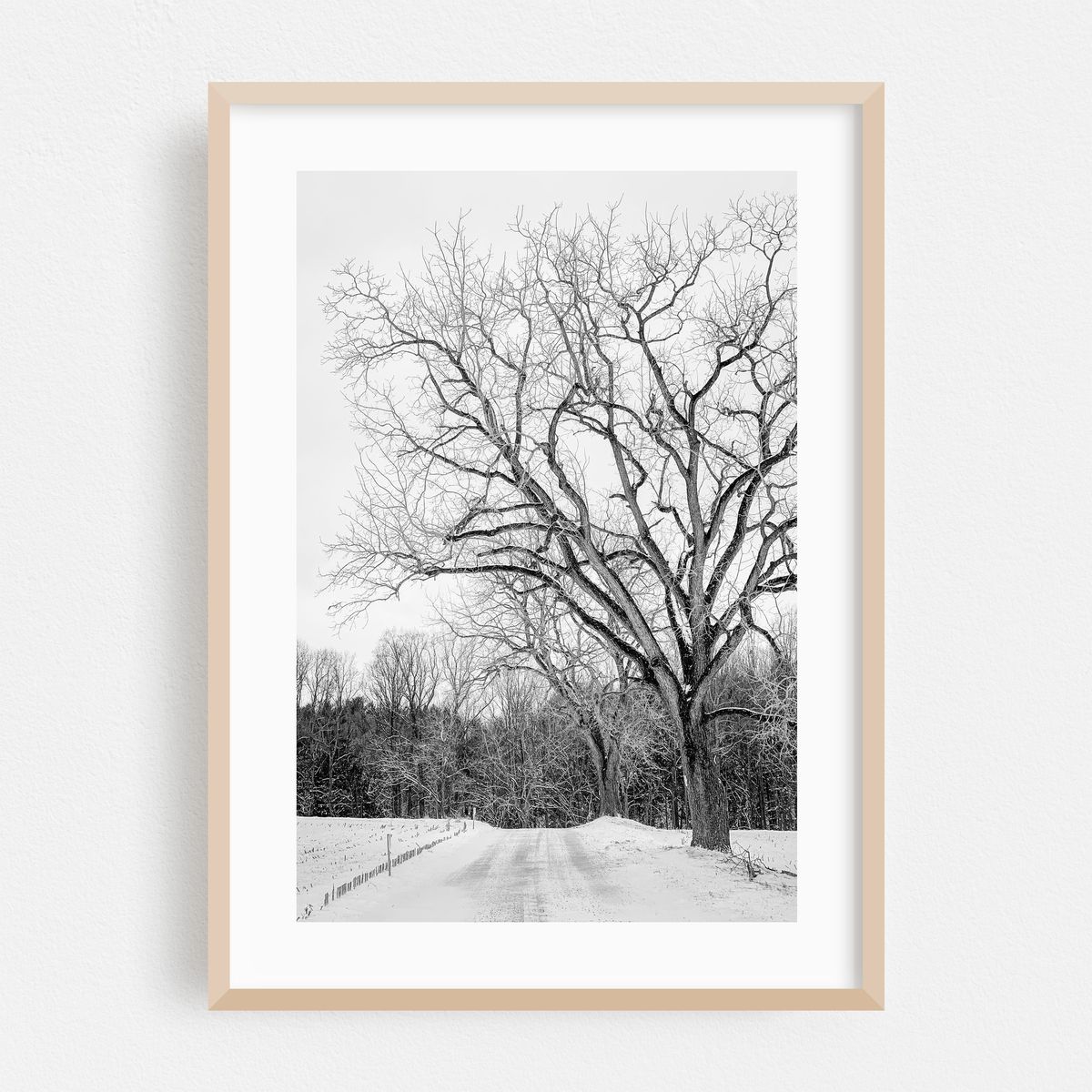 Snowy Road 05 B&W – image 1 of 16