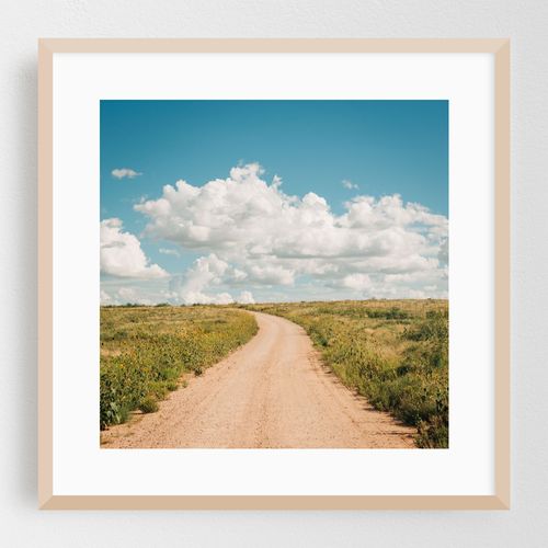 Dirt Road, New Mexico 03
