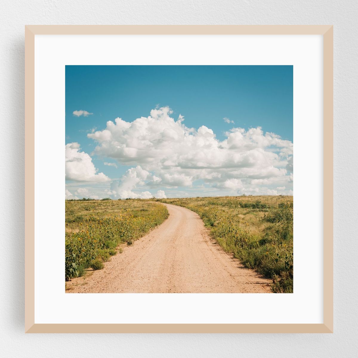 Dirt Road, New Mexico 03 – image 1 of 8