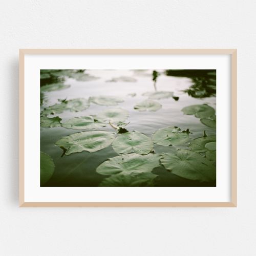 Green Reflections