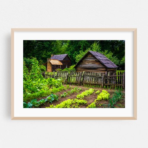Vegetable garden at the Mountain Farm Museum