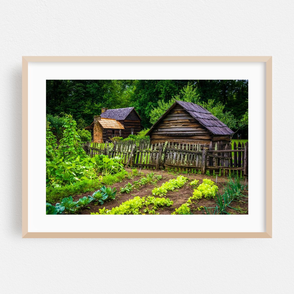 Vegetable garden at the Mountain Farm Museum – image 1 of 6