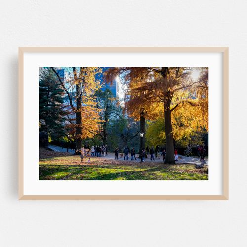 Autumn in Central Park