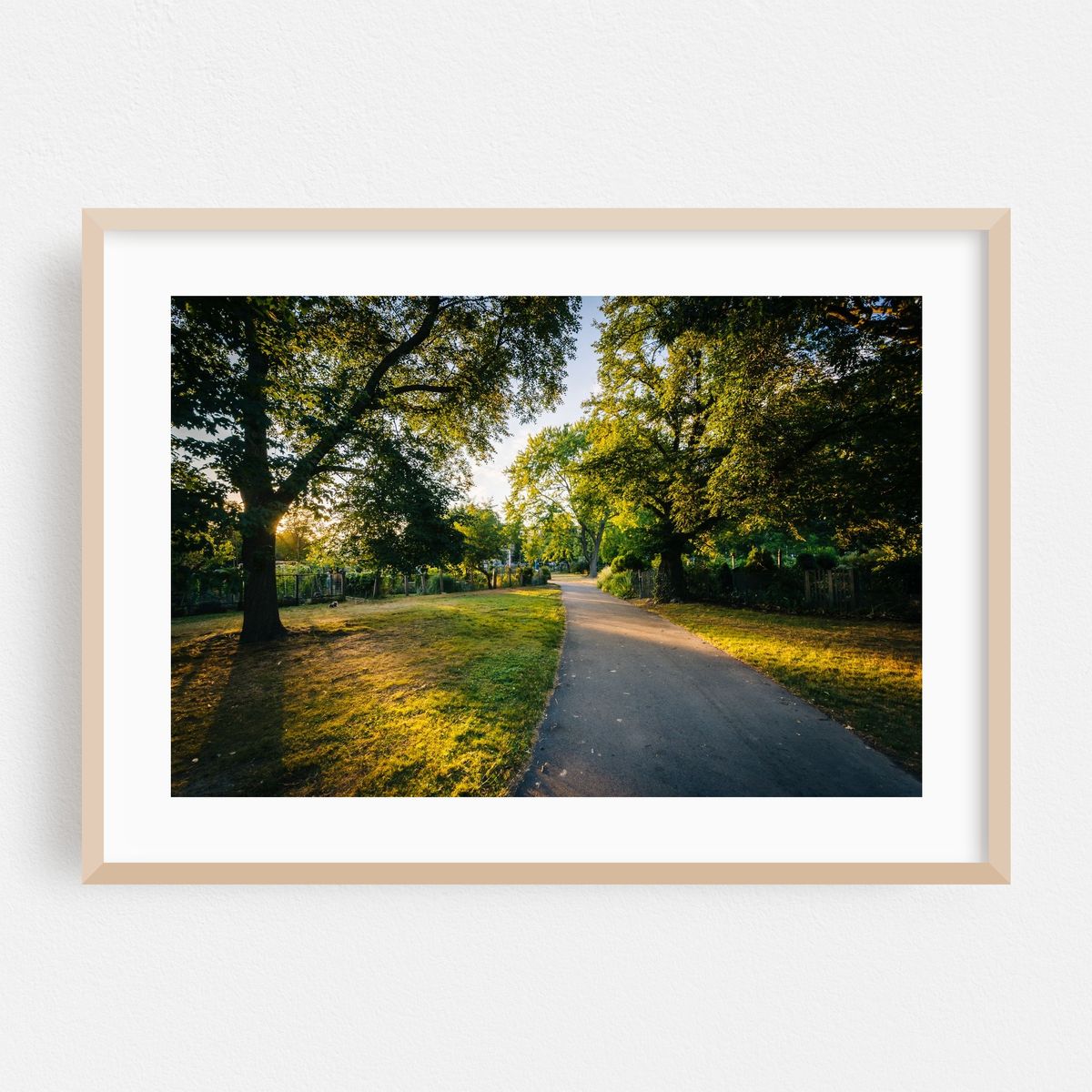 Gardens at Back Bay Fens – image 1 of 6