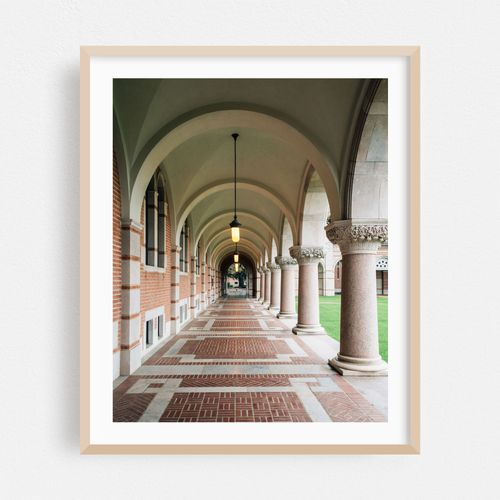 Arches at Rice University