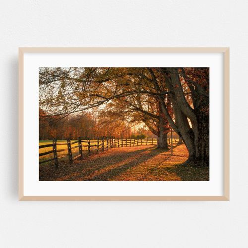 Autumn at Knox Farm