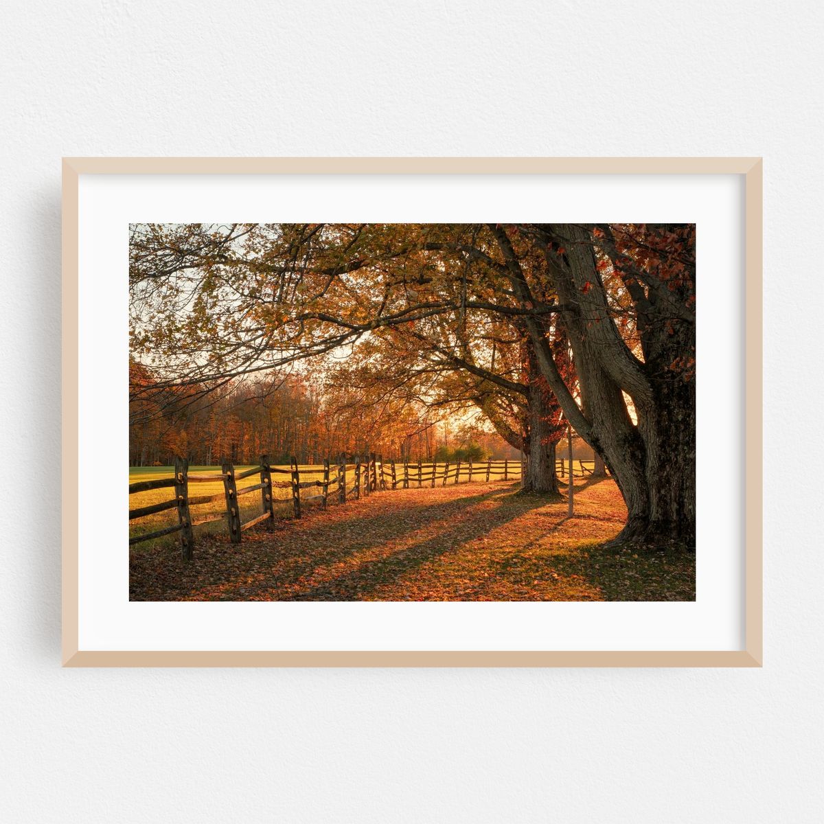 Autumn at Knox Farm – image 1 of 6