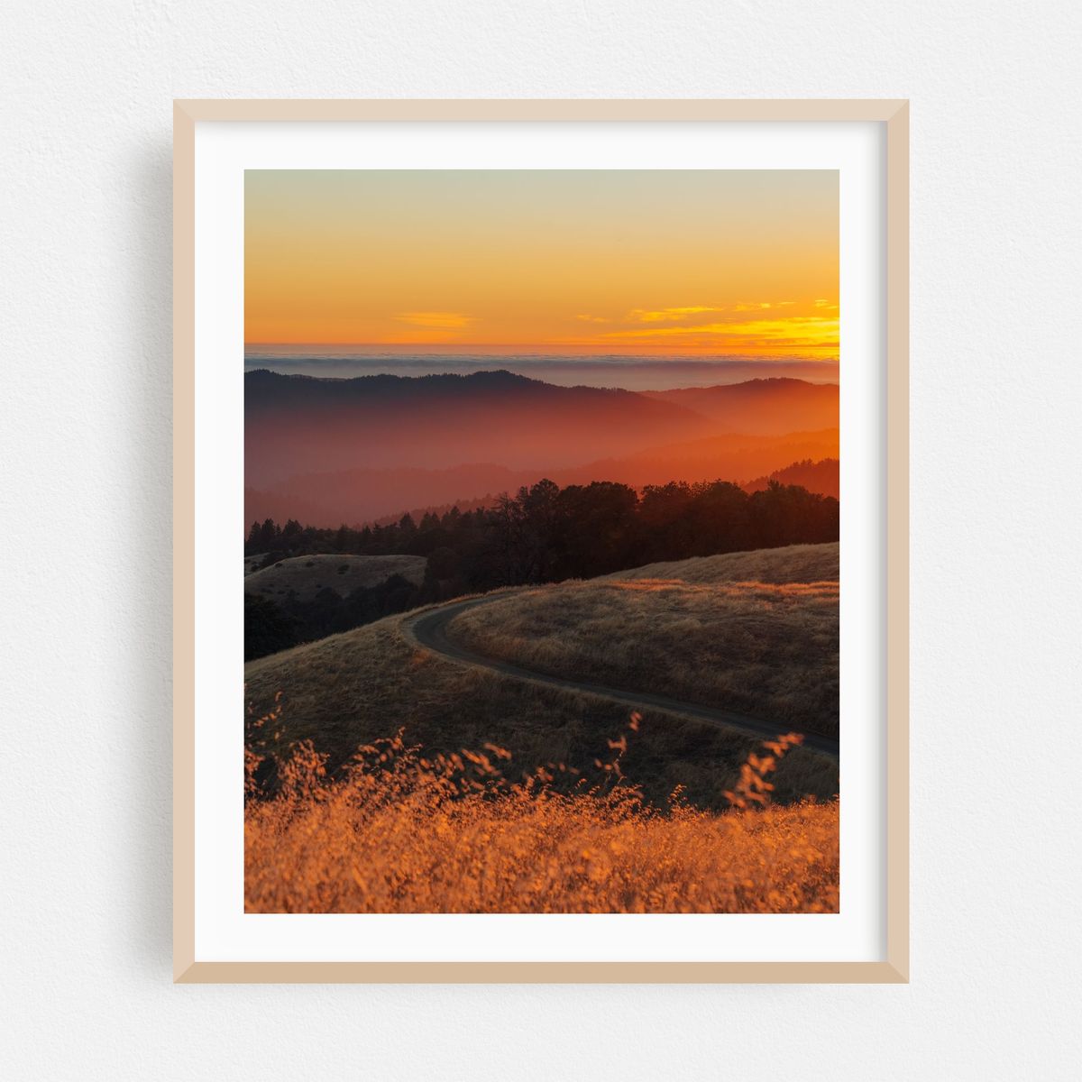 Hickory Oaks Trail Sunset 02 – image 1 of 12