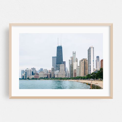 The Chicago Skyline